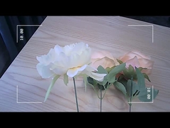 2.7K 12MP กล้อง FPV ขนาดเล็ก พร้อมเสียง IPS สีจอ กล้อง FPV ขนาดเล็ก